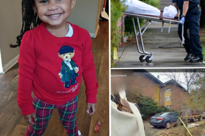 🚨 BREAKING: After 1 FULL MONTH of desperate searches, police just announced they’ve OFFICIALLY ended the active hunt for sweet 2-year-old Genesis Nova Reid 😭💔