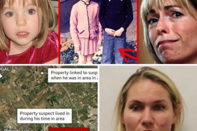 🚨 BREAKING: Madeleine McCann Case EXPLODES Again!  After 19 years, a neighbor’s HIDDEN testimony just dropped like a BOMB—cops are SHOCKED speechless!