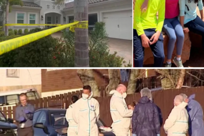 SHOCKING TWIST in Monika Rubacha Case: Police Uncover Chilling “Planned” Plot Behind Florida Mom’s Deadly Rampage – You Won’t Believe What They Found!