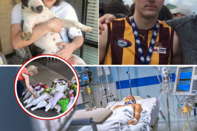 Hero’s Final Words That Broke a Nation: Family’s Heart-Shattering Grief After 22-Year-Old Gave His Life to Save a Child