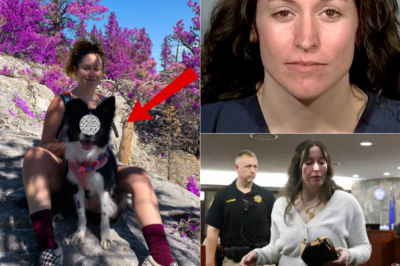 Woman Pleads Guilty to Animal Cruelty and Related Charges, Case Draws Widespread Reaction