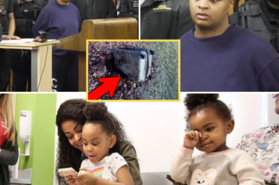 Mother’s Dark Secret Unravels: Aliyah Henderson Now Faces EVEN MORE Horrifying Charges in Grisly Suitcase M.u.r.d.e.r.s of Her Own Daughters – You Won’t Believe the Latest Twist!