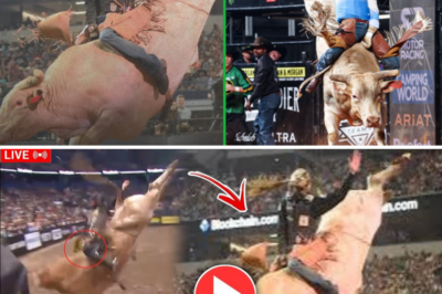In 8 Seconds of Glory, a Legend Fell: Two-Time PBR World Champion Bull ‘Man Hater’ Dies After Tragic Championship Injury