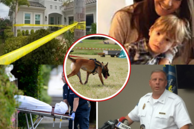 Chilling Autopsy Twists in Florida Mur:::der-Suicide: “Abnormal” Details Emerge from Monika Rubacha and Kids’ Bodies – Police Unleash Cadaver Dogs in Desperate Hunt for Hidden Clues!