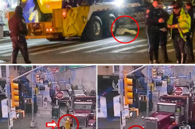 Gone in Seconds: 19-Year-Old Nishath Jannath Killed by Garbage Truck on Quiet Queens Corner – What Really Happened?”