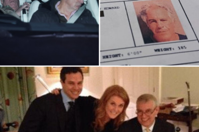 Prince Andrew’s Aide’s Chilling Confession to Epstein: Everything Is Insane – I Can’t Even Think About It – as Victims Unleash Final Shocking Secrets!