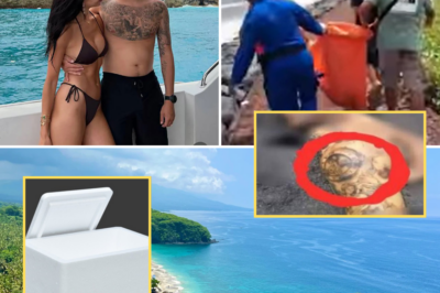 Chilling Witness Revelation: Men in Black – Begged for Shelter with a Mysterious Styrofoam Box – Just Days Before Igor Komarov’s Dismembered Body Washed Up in Bali