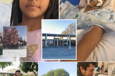 12-Year-Old Student Khimberly Zavaleta Chuquipa Dies After School Incident; LAPD Opens Homicide Investigation