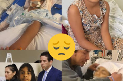 Parents Sue Los Angeles School District After 12-Year-Old Girl Dies Following Alleged School Bullying Attack