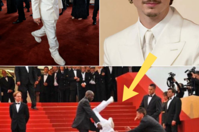 Timothée Chalamet Reportedly Falls on the Stairs During the Oscars Ceremony