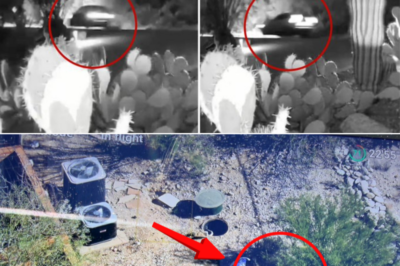 From Uber Footage to a Backyard: FBI’s Sudden Shift Raises New Questions in Nancy Guthrie Case