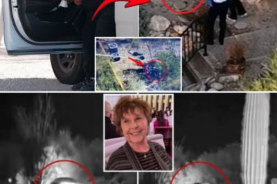 FBI Shifts Focus in Nancy Guthrie Case as Backyard Search Raises New Questions