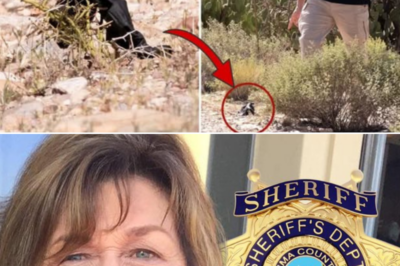 Glove Found During Nancy Guthrie Search Reportedly Linked to Restaurant Worker