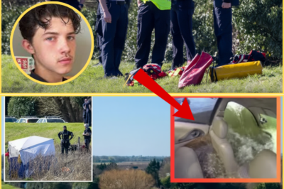 FIVE OCCUPANTS IN SMALL VEHICLE PROMPT REEXAMINATION OF RIVER NENE INCIDENT