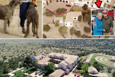 Caretaker Couple Who Ran Epstein’s Infamous Island and Zorro Ranch Vanished — Investigation Reveals Hidden Role and Surprising Inheritance