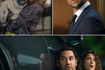The Lincoln Lawyer Season 5 Confirmed as Production Begins Ahead of Expected 2027 Release