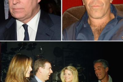Concerns Emerge Over Prince Andrew’s Safety as Comparisons to Jeffrey Epstein Resurface
