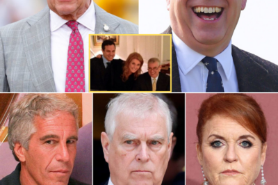 Leaked Email Raises Questions About Royal Security Presence at Jeffrey Epstein’s Home