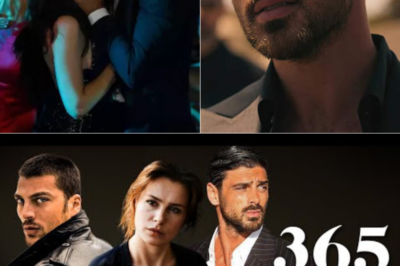 Why the “365 Days 4” Trailer Is Going Viral Despite No Official Confirmation