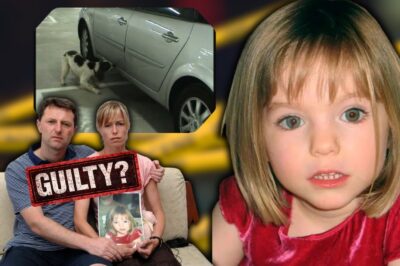 Eddie and Keela: The Detection Dogs at the Center of Debate in the Madeleine McCann Case