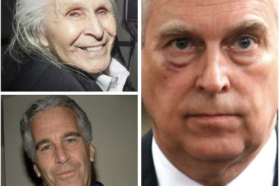 U.S. Investigators Once Sought Testimony From Prince Andrew in Epstein and Nygard Sex Trafficking Probes