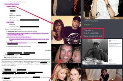 Rachel Chandler Draws Renewed Attention as Researchers Review Newly Released Epstein Documents