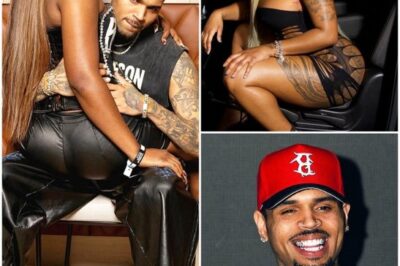 Relationship Fallout After Chris Brown Meet-and-Greet Sparks Debate Over Trust, Money, and Boundaries