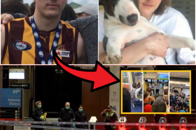 😢 He Tried to Save a 14-Year-Old From a Violent Robbery—22-Year-Old Hero Fatally Stabbed in Brutal Train Station Attack That Shocked Australia 💔