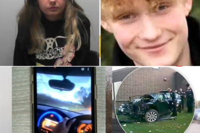 She Was Filming Alfie Lovett’s Dangerous Stunt Out the Car Window… What Happened Just Seconds Later Destroyed Their Lives Forever 😭 Prison for 3 Years!