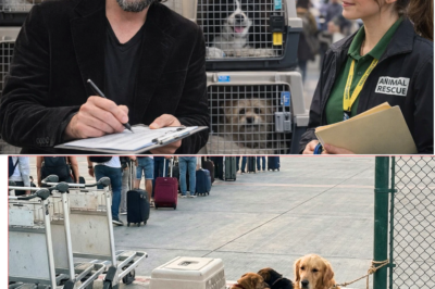 ✈️ Amid Chaos at Dubai Airport, Keanu Reeves Delays His Own Escape to Rescue Dozens of Abandoned Pets Fleeing the Iran Crisis