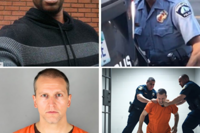 BEYOND THE VERDICT: DEREK CHAUVIN’S DESCENT INTO A ‘LIVING DEATH’ AS PRISON VIOLENCE AND ISOLATION TAKE THEIR TOLL