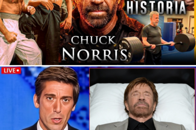 THE LAST STAND IN KAUAI: Inside the Sudden Medical Emergency and Mystery Surrounding Chuck Norris’s Final Hours