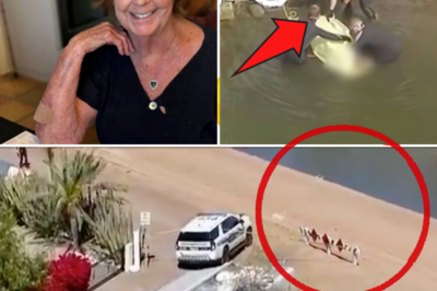 😱🚨 Body Found Along Phoenix Canal Sparks New Fears In Search For Missing 84-Year-Old Nancy Guthrie