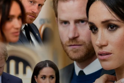Royal Expert Claims Prince Harry’s Return Plan to Britain Was “Destroyed” as Sussex Strategy Faces New Scrutiny