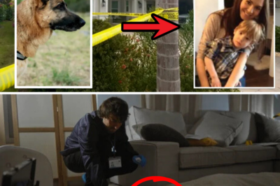 Police Unleash K-9 Units on Luxury Villa After Autopsy Shocker & Witness Bombshell in Monika Rubacha Family Horror