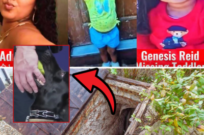 Police K-9 Dogs Sniff Out Horrifying Secret in Backyard Corner – Neighbors Left Speechless in Genesis Reid Toddler Mystery!