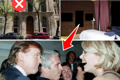 Epstein’s Sick Plot Exposed: Pedo:::phile Financier Schemed to Marry His Ex’s 19-Year-Old Daughter – Just to Dodge Massive Inheritance Taxes