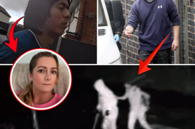 Walk Of Death: 18-Year-Old Son Lures Terrified Mom To Park, Records Brutal M.u.r.d.e.r & Brags Online