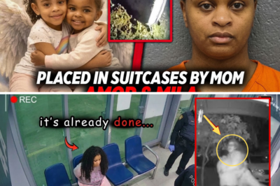 Neighbor’s Bombshell Video Exposes Horrifying Daylight Attack on Child – What This Mom Did to Her Own Kids Will Leave You Speechless!