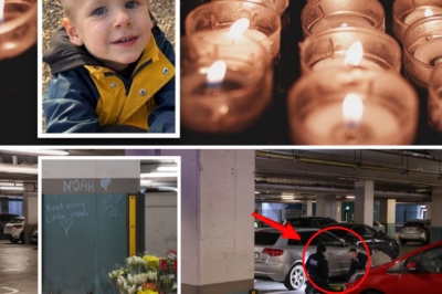 Final Smiles of Little Noah: Heartbreaking Last Footage of 3-Year-Old Angel Before Dublin Car Park Tragedy – A Moment That Will Shatter You 💔