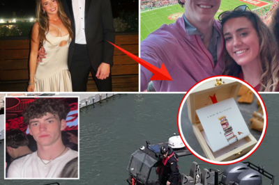 The Buried Memory Box That Shattered Her Heart: Jimmy Gracey’s Secret Notes Were Never About Her