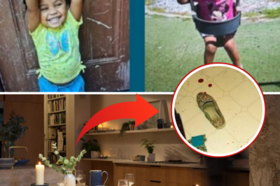 Horror in Alabama Home: Cops Find Blood on Dining Table in Missing Toddler Genesis Reid’s House – DNA Results Dropping TONIGHT!
