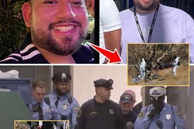 Police Uncover Bizarre Scene at Body Discovery Site — Shocking Clues in Missing American Airlines Flight Attendant Case Spark Chilling Questions