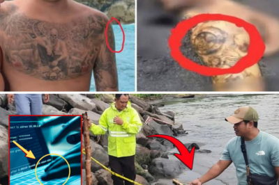 Ukrainian Crime Lord’s Chilling Confession: I Tried to Stop It – Shocking Call Just 30 Minutes Before His Son Was Brutally Murd:::ered in Bali Horror