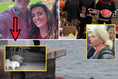 Chilling Witness: Dog Barked Non-Stop for 30 Minutes Near Jimmy Gracey’s Drowning Spot… Then Dead Silence as Resident Checked