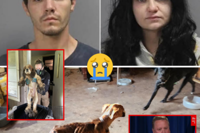 Texas Animal Rescue Founder and Boyfriend Arrested After Gruesome Home Raid Uncovers 84 Dogs in Filth — Officials Fear Over 100 More May Be Dead
