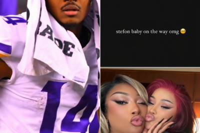 Rumors Spread Online Claiming Megan Thee Stallion May Be Expecting a Baby Linked to Stefon Diggs