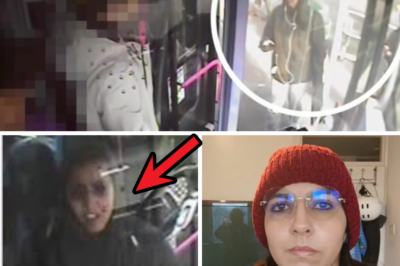 Bus Driver’s Bombshell Revelation: Tense Phone Argument Left Missing Psychologist ‘Extremely Stressed’ – Just Hours Before She Vanished at Brightlingsea Harbour, Leaving Laptop and Bag Behind
