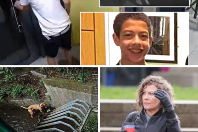 Inquest Bombshell: Cops Still Insist Noah Donohoe Vanished on Purpose – His Actions “More Like Suicide” Than Murder, Despite Naked Body in Storm Drain Nightmare