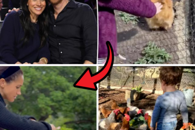 “YOU’RE AMAZING, BABE…” — Prince Harry’s Sweet, Intimate Praise for Meghan Markle Lights Up the Internet